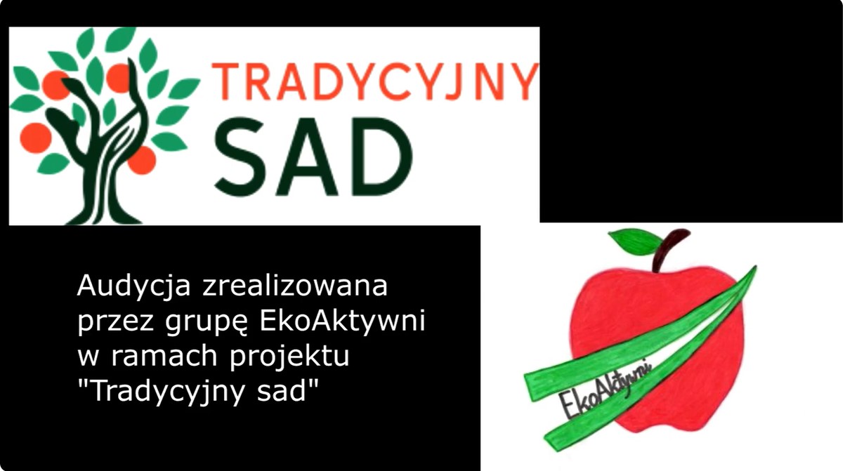 audycja